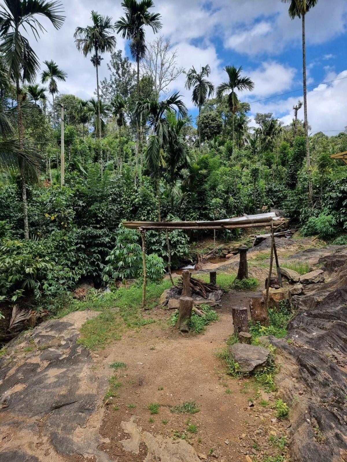 Villa Whiskeywoods à Madikeri Extérieur photo